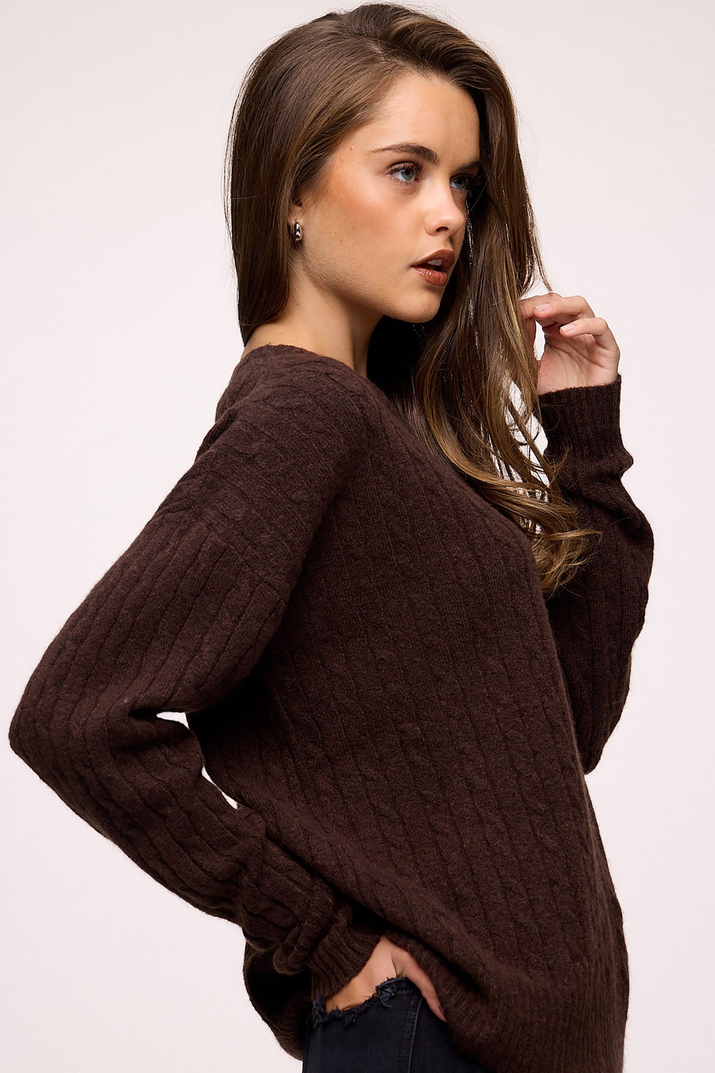 Cozy Knit Cable Crewneck Sweater | Heather Espresso