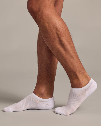 White No Show Socks 3-Pack