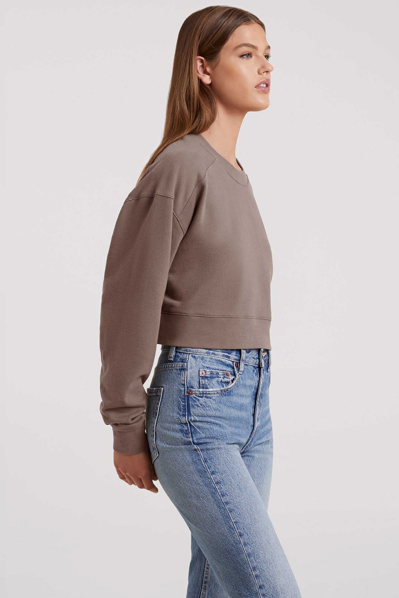 Cropped Crewneck Sweatshirt | Mocha