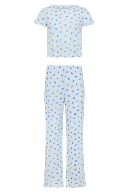 Pointelle Pajama Pant Set | Ditsy Blue