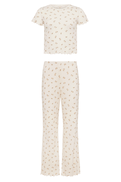 Pointelle Pajama Pant Set | Ditsy Pearl