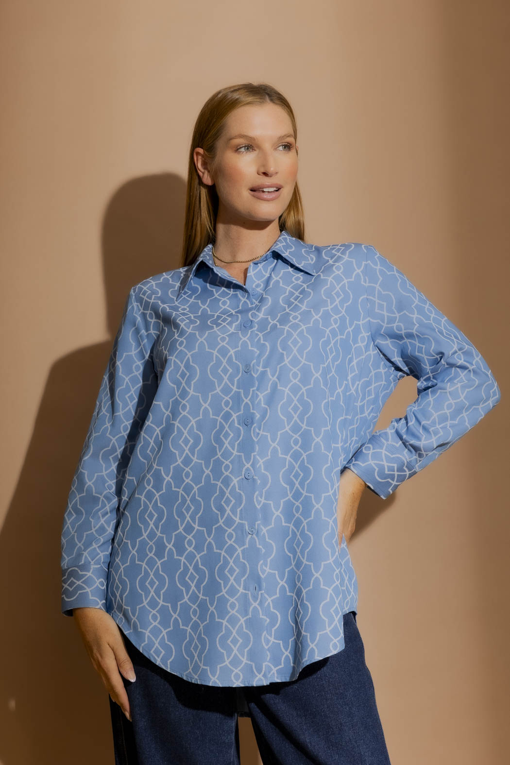 Chambray Embroidery Classic Shirt