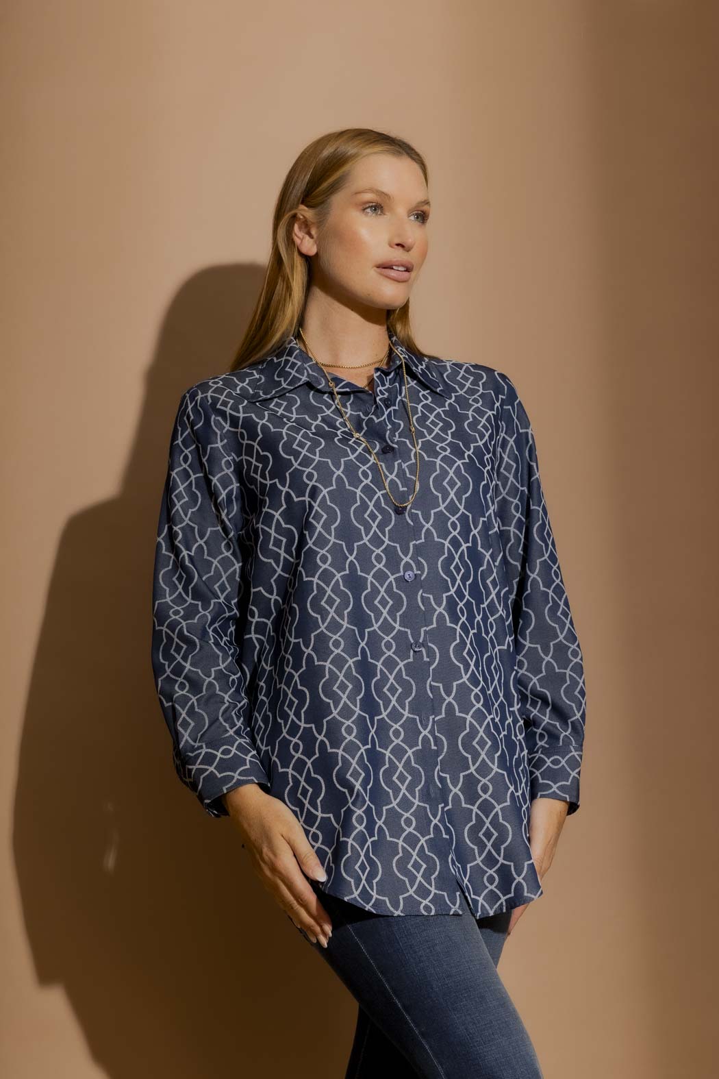 Chambray Embroidery Classic Shirt