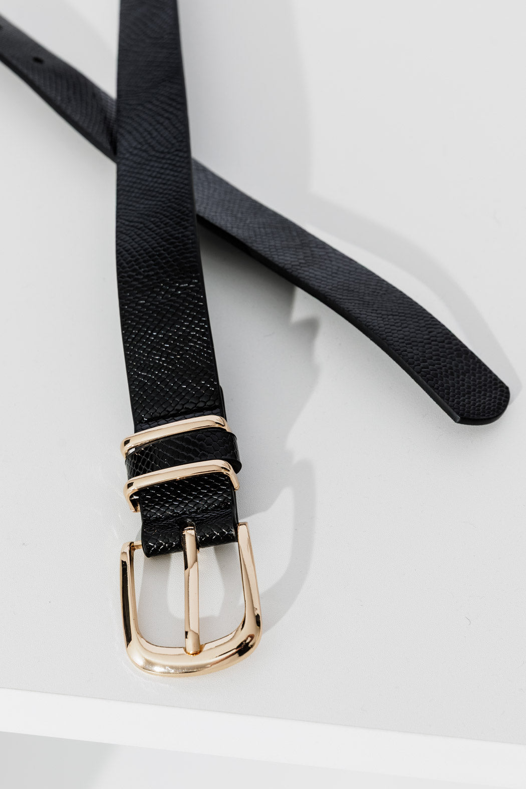 Black Snake Belt